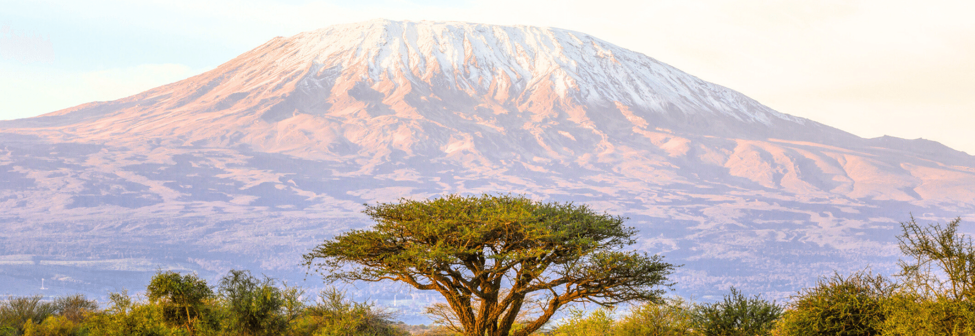 Arusha