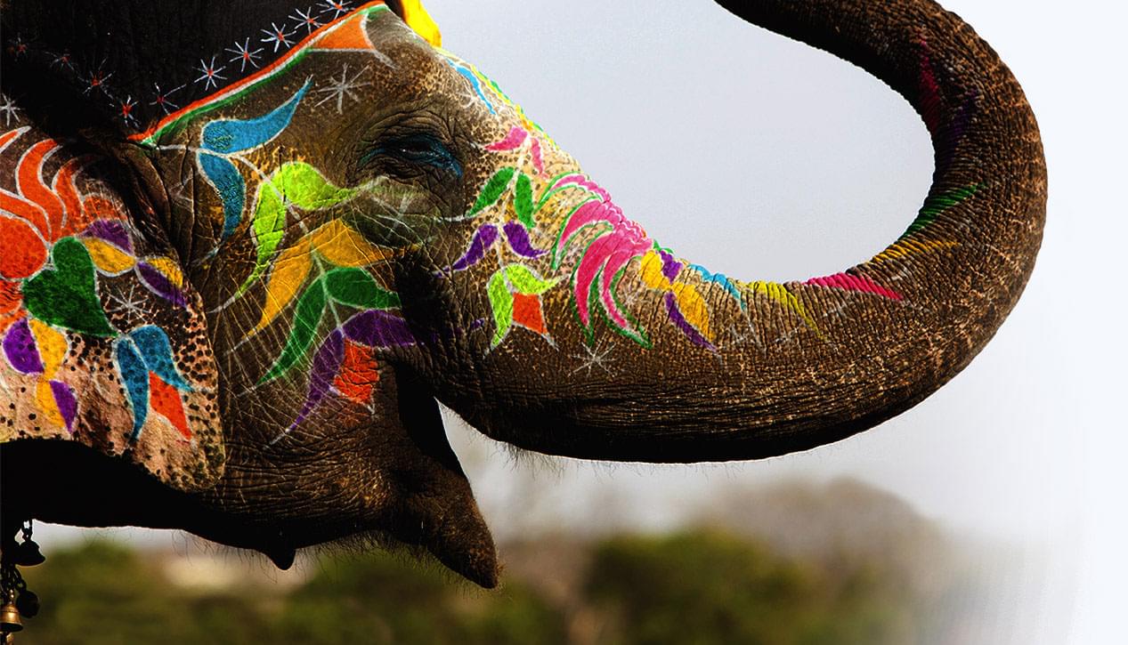 inspiration